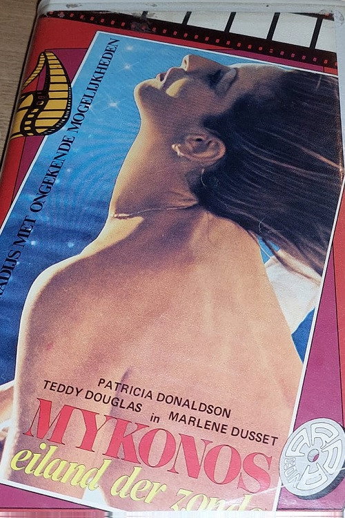 Movie poster for Erotic Nightmare (1978)
