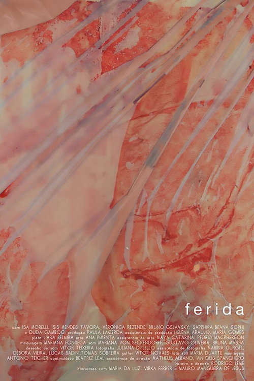 Movie poster for Ferida (2017)