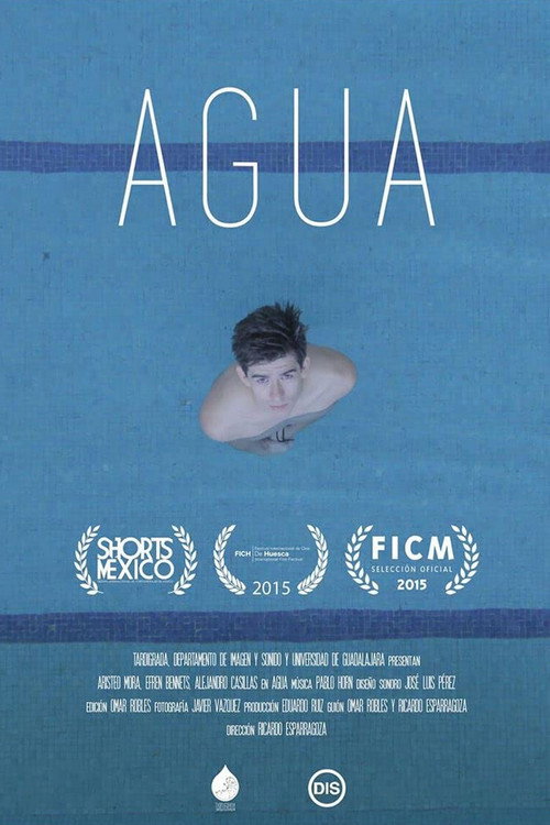 Movie poster for Water (2015)
