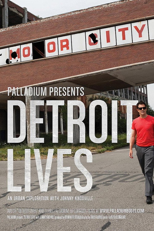 Movie poster for Detroit Lives (2010)