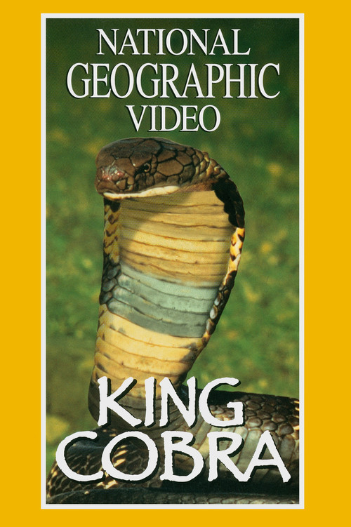 Movie poster for King Cobra (1997)