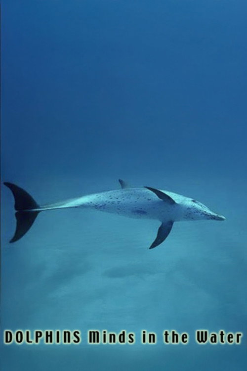 Movie poster for Dolphins: Minds in the Water (1991)
