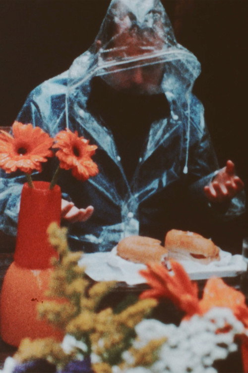 Movie poster for I Said No Tomato