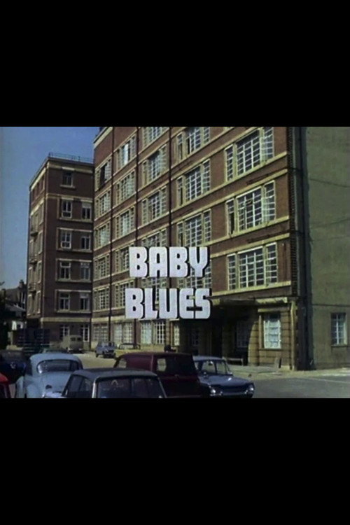 Movie poster for Baby Blues (1973)