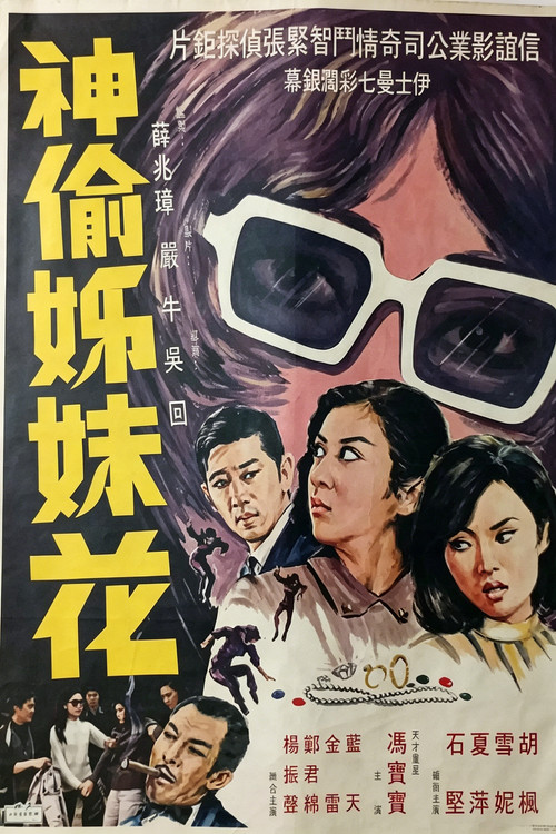Movie poster for The Mysterious Sisters (1969)