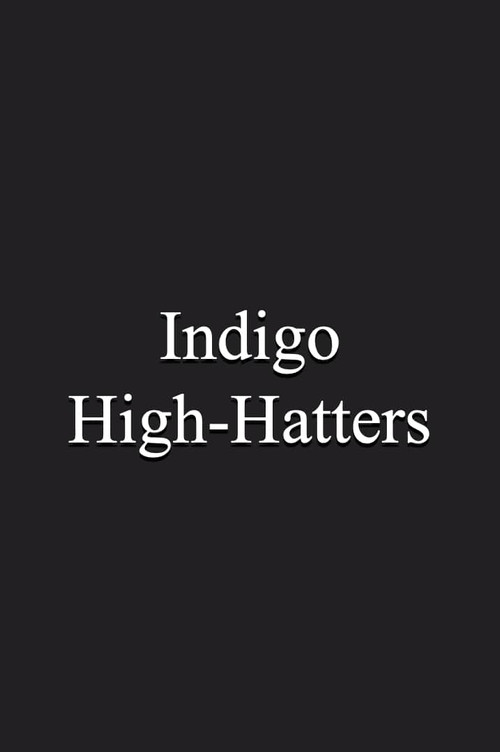 Movie poster for Indigo High-Hatters (1991)