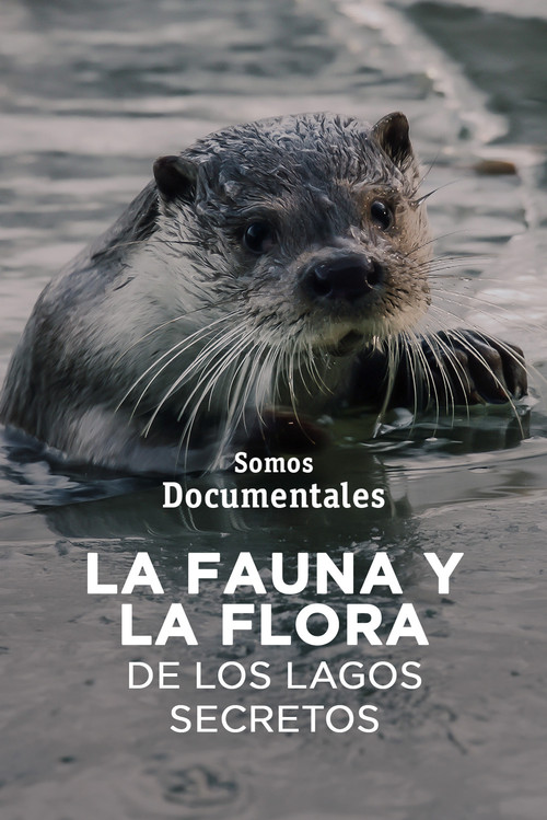 Movie poster for Mecklenburgs geheime Wasserwildnis - Die Feldberger Seen (2022)