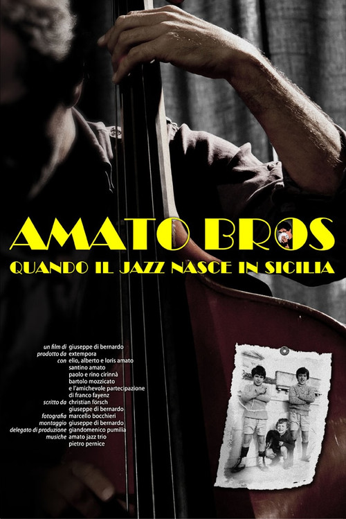 Movie poster for Amato Bros (2012)