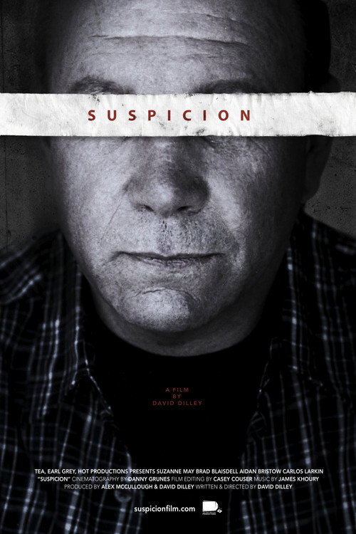 Movie poster for Suspicion (2012)