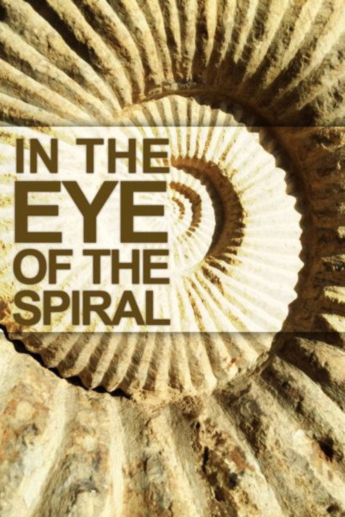 Movie poster for In the Eye of the Spiral (2014)