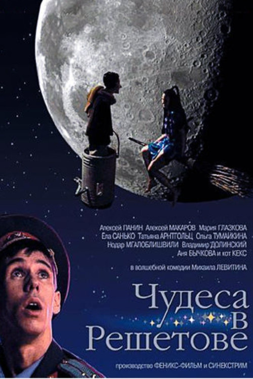 Movie poster for Чудеса в Решетове (2004)