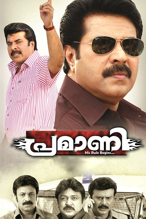 Movie poster for Pramani (2010)