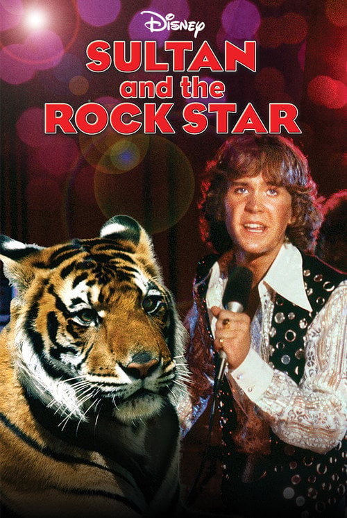 Movie poster for Sultan and the Rock Star (1980)