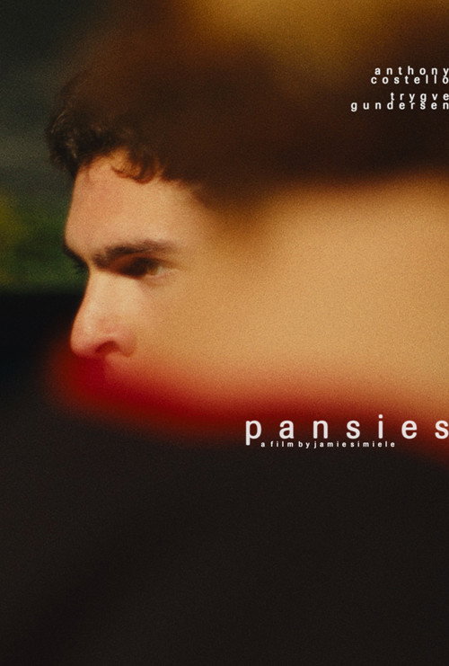 Movie poster for pansies (2025)