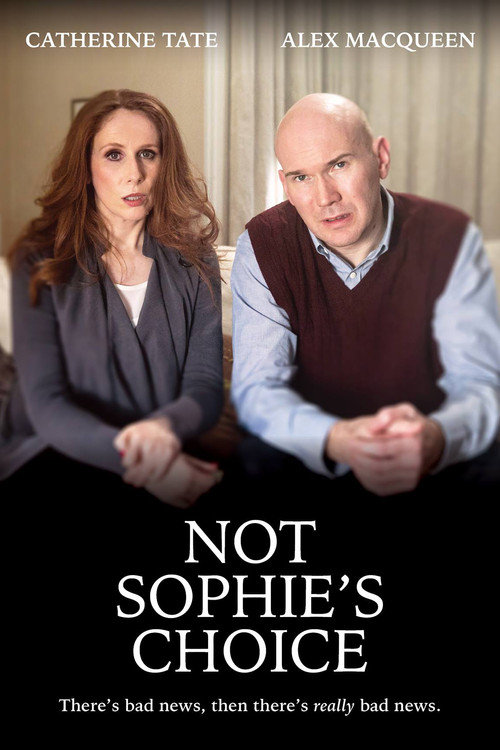 Movie poster for Not Sophie's Choice (2015)