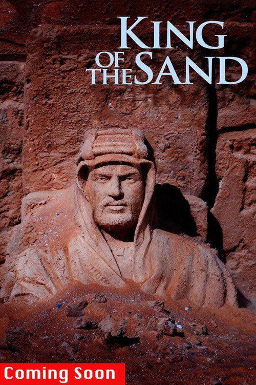 Movie poster for King of the Sands (2013)