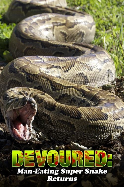 Movie poster for Devoured: Man-Eating Super Snake Returns (2013)