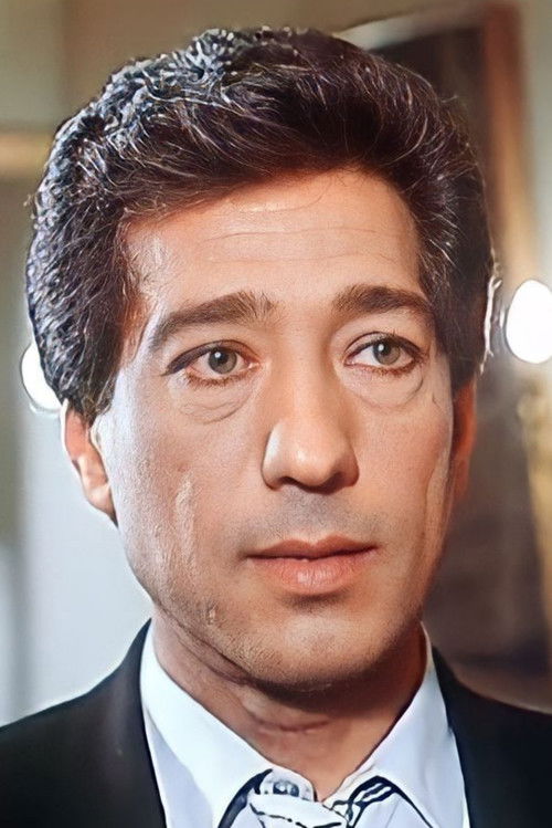 Karam Metawea profile