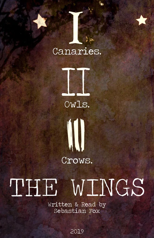 Movie poster for The Wings (2019)
