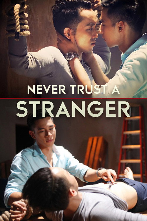 Movie poster for Never Trust a Stranger (2015)