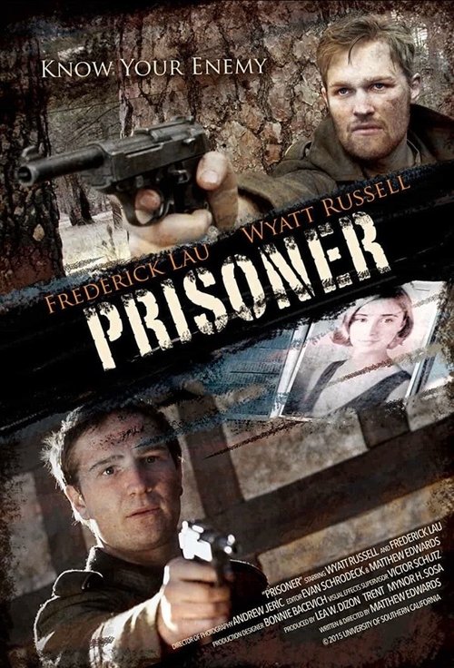 Movie poster for Prisoner (2015)