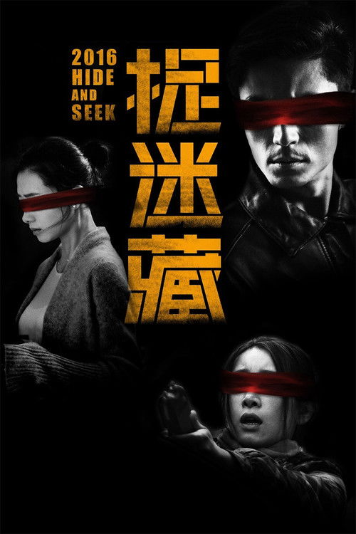 Movie poster for Hide and Seek (2016)