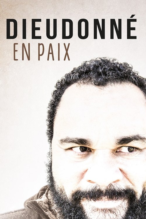 Movie poster for Dieudonné - En paix (2017)