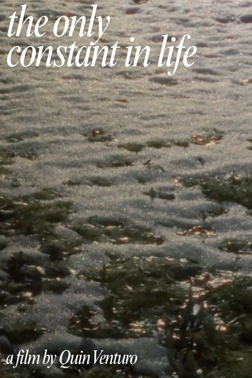 Movie poster for The Only Constant In Life (2026)