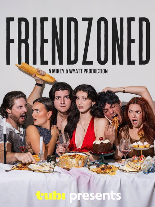 Series poster for Friendzoned (2024)