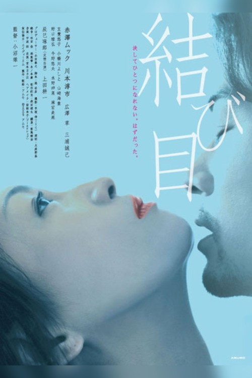 Movie poster for The Knot (2010)