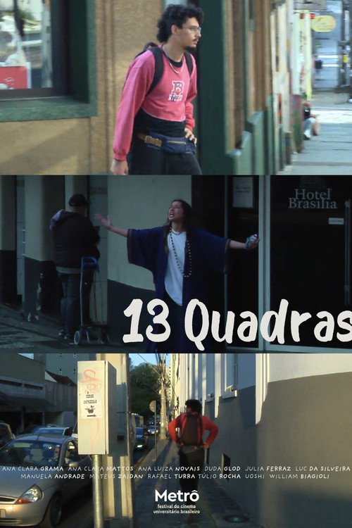 Movie poster for 13 blocks (2024)