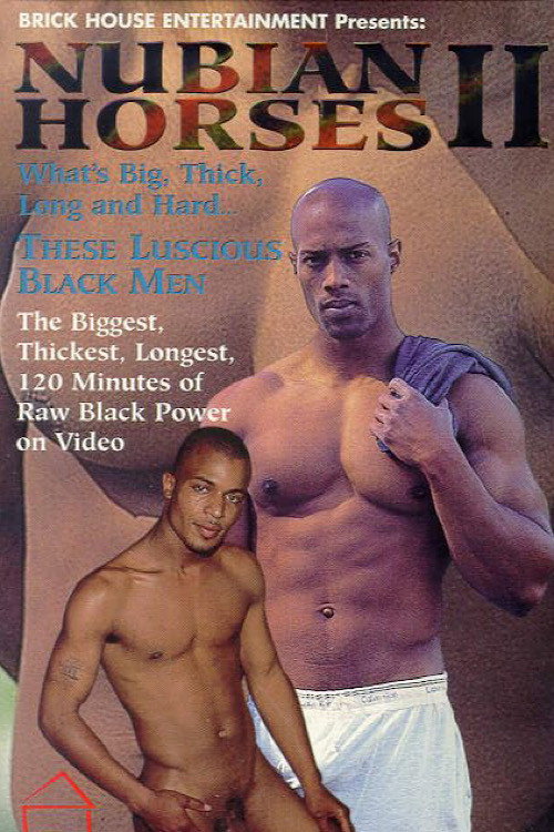 Movie poster for Nubian Horses 2 (1996)