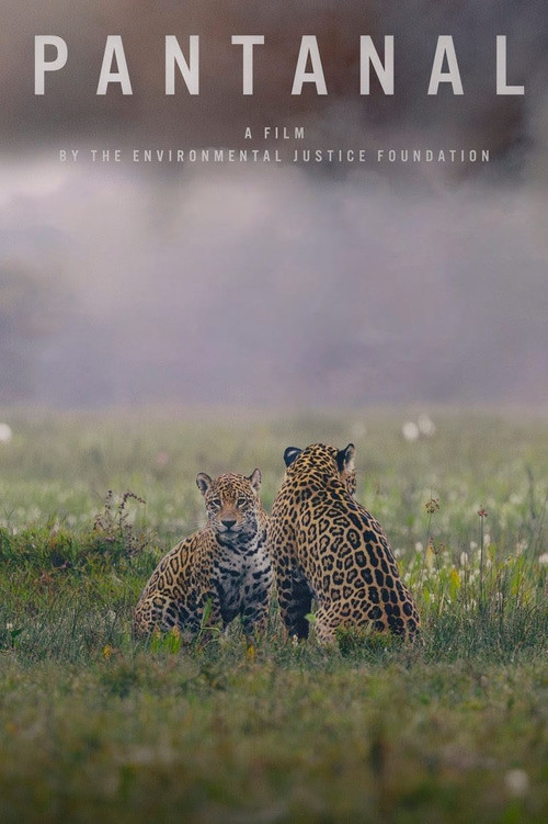 Movie poster for Pantanal (2024)