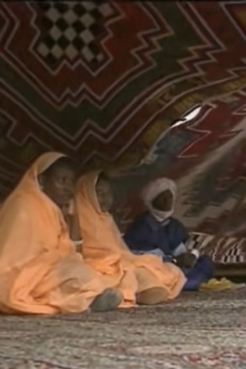 Movie poster for Behind the Veil: seduction, marriage, and divorce in Mauritania (1993)