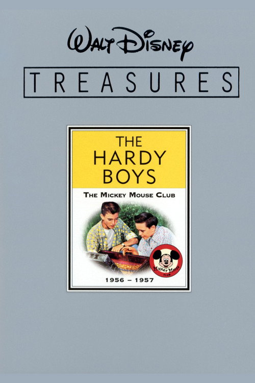 Movie poster for The Hardy Boys Unmasked (2006)