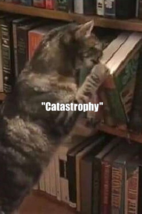 Movie poster for Catastrophy (2000)