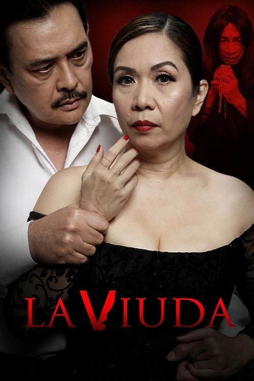 Movie poster for La Viuda (2025)