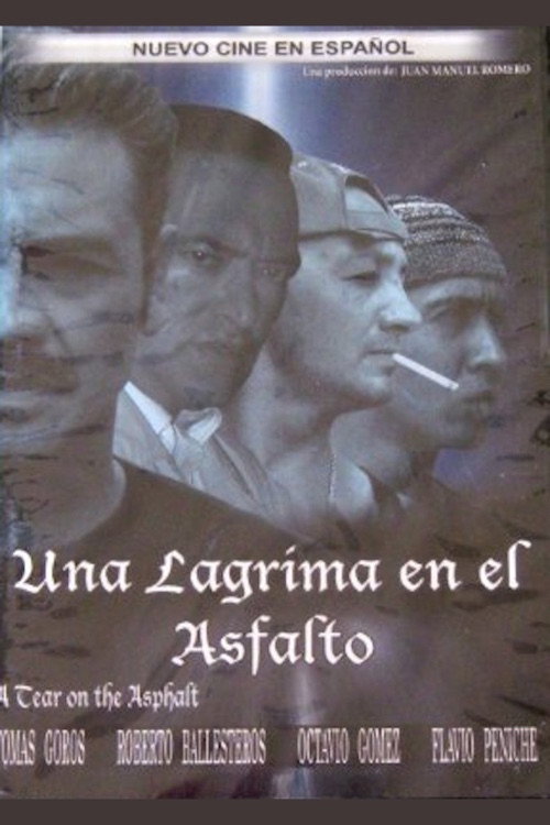 Movie poster for Una lagrima en el asfalto (2006)
