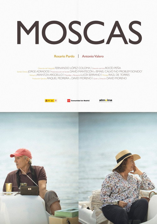 Movie poster for Flies (2018)