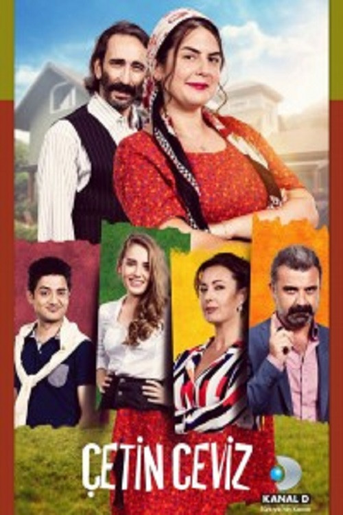 Movie poster for Çetin Ceviz (2016)