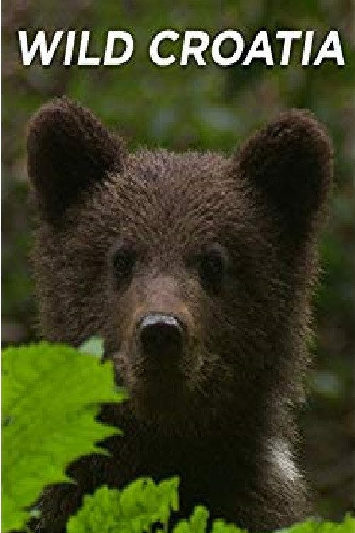 Movie poster for Wild Croatia (2009)