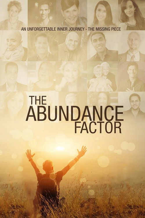 Movie poster for The Abundance Factor (2015)