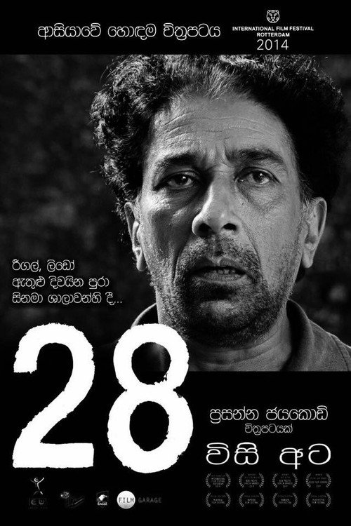 Movie poster for Twenty Eight (2014)