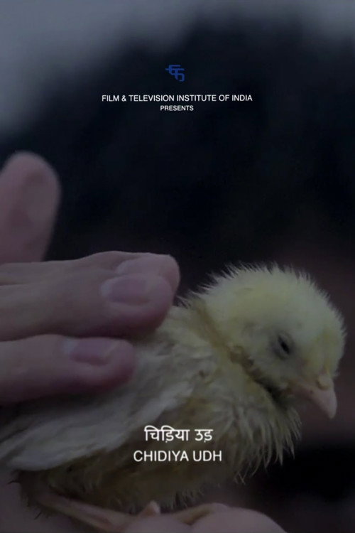Movie poster for Fly, Bird (2014)