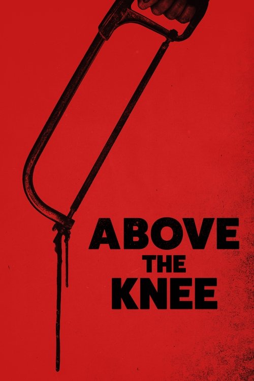 Movie poster for Above the Knee (2024)