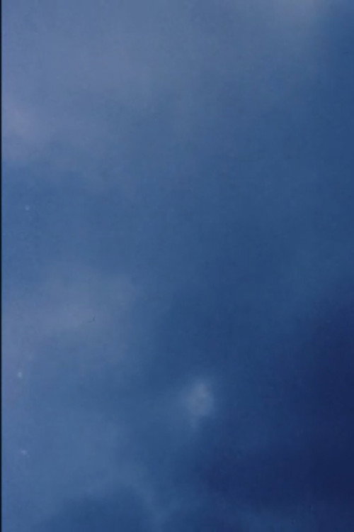 Movie poster for Coda II (2013)
