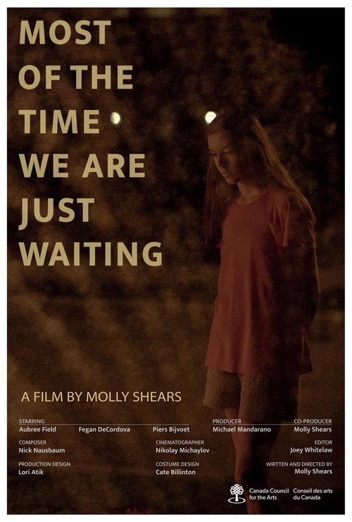 Movie poster for Most of the Time We Are Just Waiting