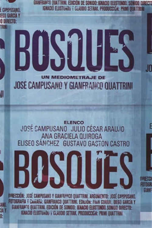 Movie poster for Bosques (2005)