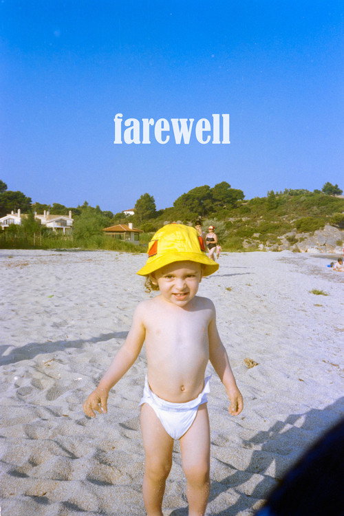 Movie poster for farewell (2024)