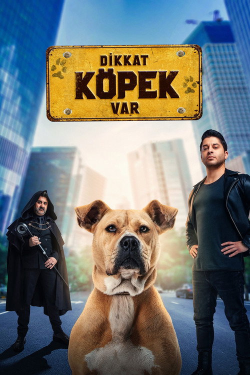 Movie poster for Dikkat Köpek Var (2022)